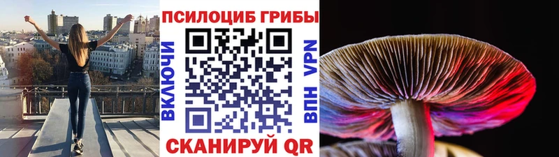 Псилоцибиновые грибы прущие грибы Рассказово
