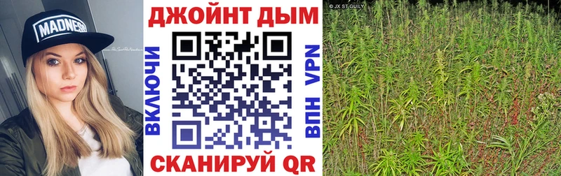 Канабис конопля  это официальный сайт  Рассказово  даркнет сайт 